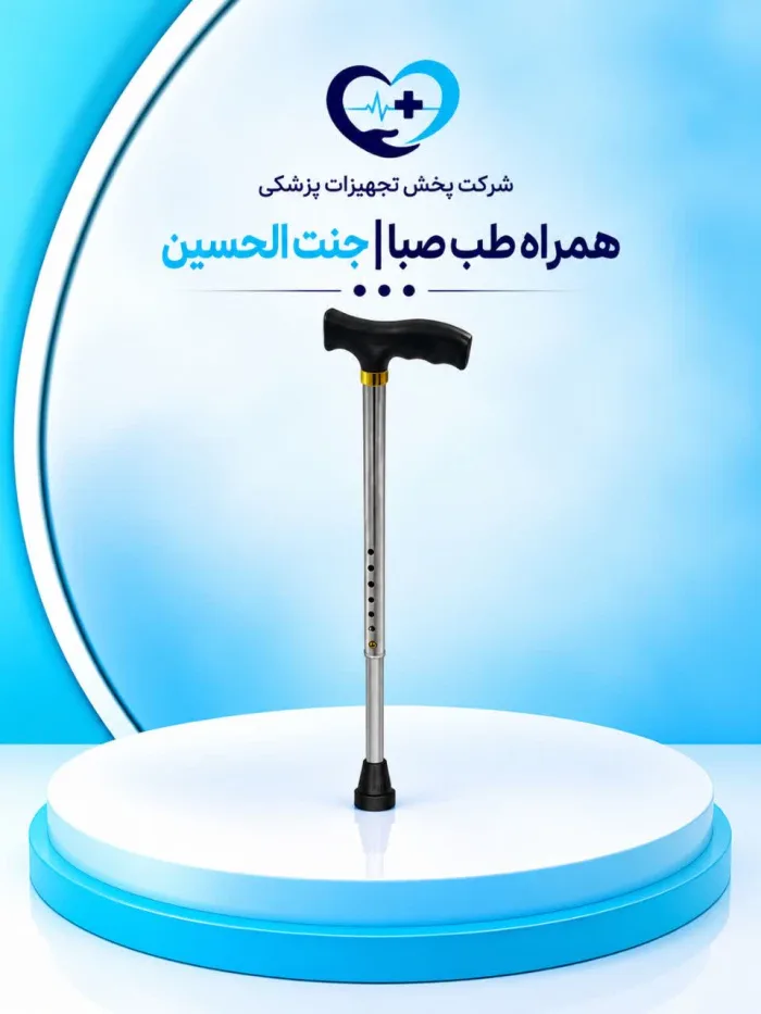 عصا دستی پین‌دار (لردی)